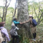 周辺の木の大きさを確認する様子