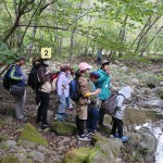 川の流れを確認する様子